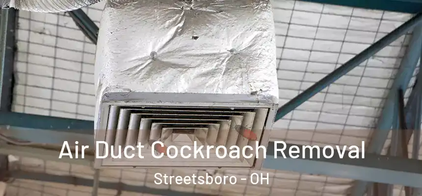  Air Duct Cockroach Removal Streetsboro - OH