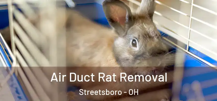  Air Duct Rat Removal Streetsboro - OH