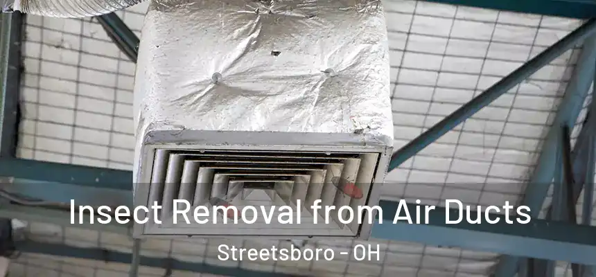  Insect Removal from Air Ducts Streetsboro - OH