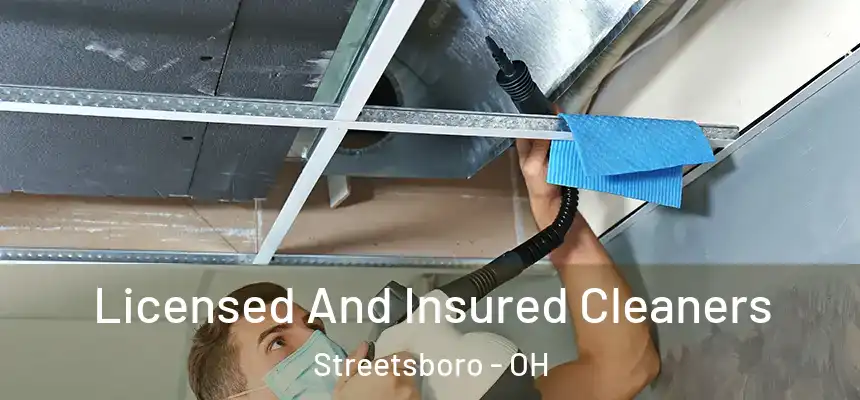  Licensed And Insured Cleaners Streetsboro - OH
