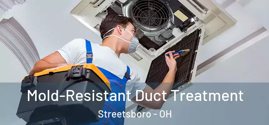  Mold-Resistant Duct Treatment Streetsboro - OH