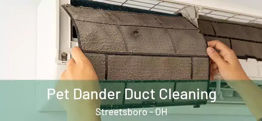 Pet Dander Duct Cleaning Streetsboro - OH