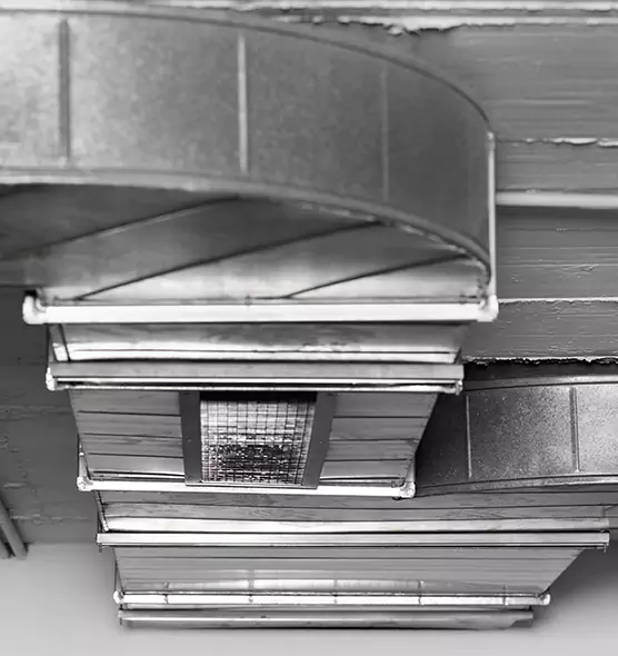 Professional Air Duct Pest Removal in Streetsboro, OH